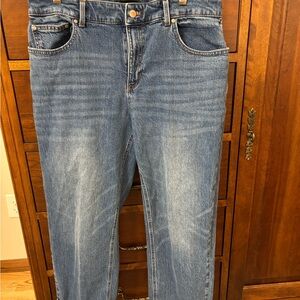 Talbots Blue Denim Jeans with Copper Button